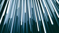 Prof. Dr. Hildegard Kühne erhält ERC Starting Grant
