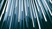 Prof. Dr. Hildegard Kühne erhält ERC Starting Grant