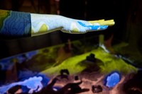 „Green Job“: Stellst du dir die Frage, wie man auf den Klimawandel reagieren kann? Dann haben wir die Antwort für dich!