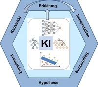 KI-Modelle in den Naturwissenschaften: Von der Erklärung von Vorhersagen zur Erfassung kausaler Zusammenhänge.
