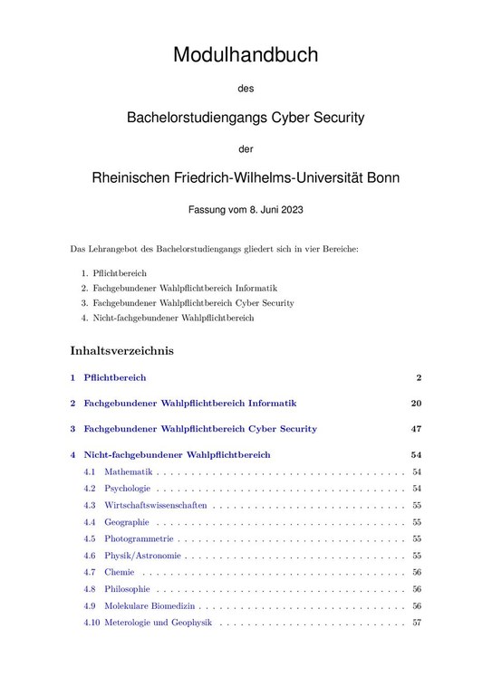 Modulhandbuch Bachelor Cyber Security SoSe 2023
