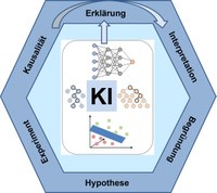 KI-Modelle in den Naturwissenschaften: Von der Erklärung von Vorhersagen zur Erfassung kausaler Zusammenhänge.