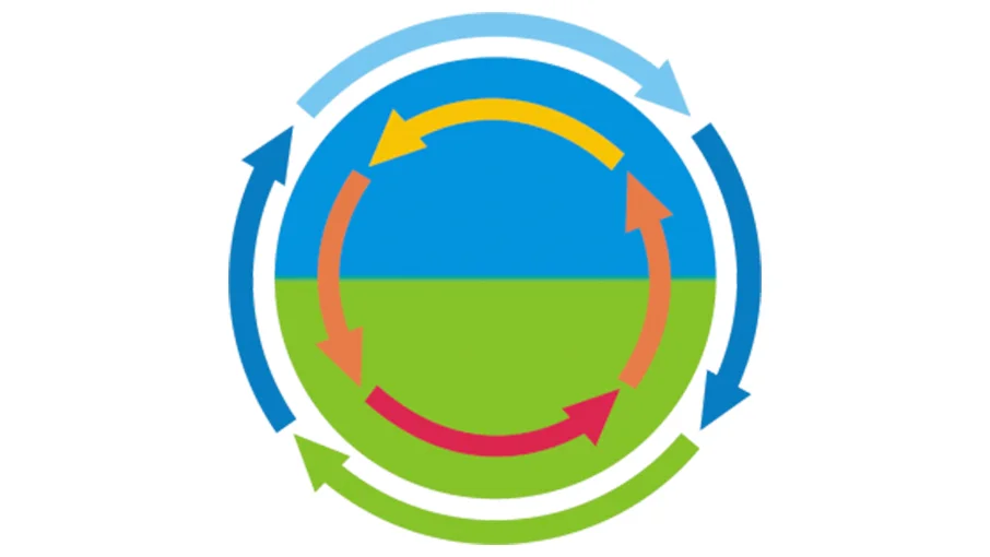 logo_detect.webp