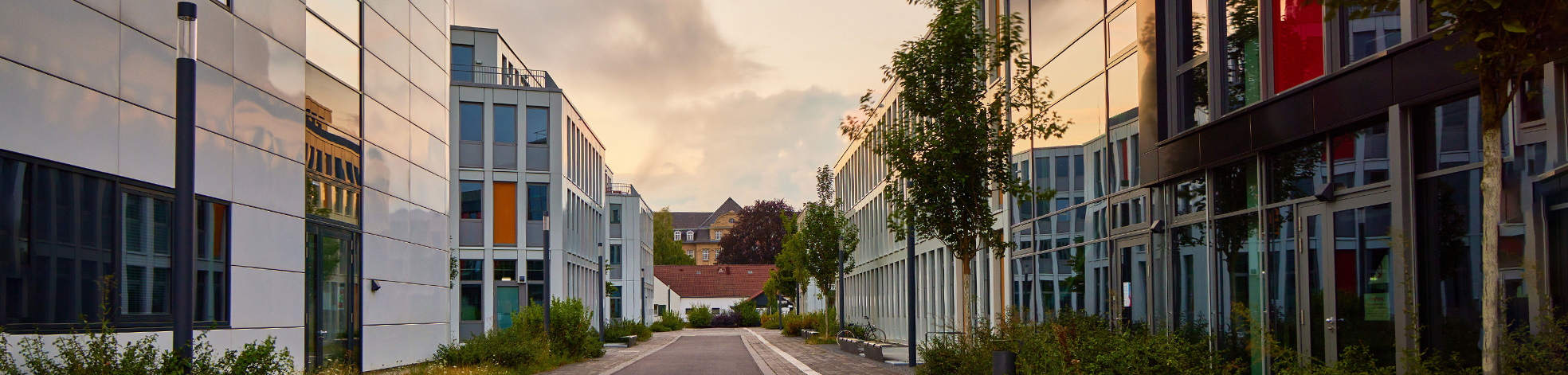 header_berufungen.jpg